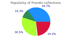 purchase genuine prandin on-line