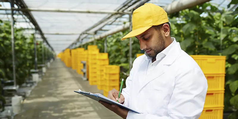 TÉCNICO LABORAL COMO SUPERVISOR DE PRODUCCIÓN AGRÍCOLA.webp